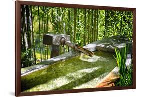 Pure Bamboo Spring-George Oze-Framed Photographic Print
