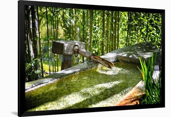 Pure Bamboo Spring-George Oze-Framed Photographic Print