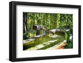 Pure Bamboo Spring-George Oze-Framed Photographic Print