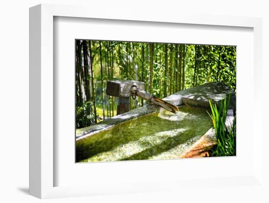 Pure Bamboo Spring-George Oze-Framed Photographic Print