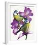 Pure Birdsong - Harmony-Sam Kemp-Framed Giclee Print