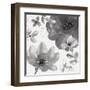 Pure Days II-Sandra Jacobs-Framed Giclee Print