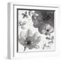 Pure Days II-Sandra Jacobs-Framed Giclee Print