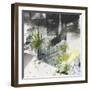 Pure Energy II-Joyce Combs-Framed Art Print