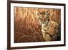 Pure Eyes-Joh Naito-Framed Giclee Print