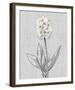 Pure Garden - Elegance-Belle Poesia-Framed Giclee Print