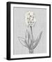 Pure Garden - Elegance-Belle Poesia-Framed Giclee Print
