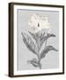 Pure Garden - Flourish-Belle Poesia-Framed Giclee Print