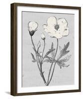 Pure Garden - Radiance-Belle Poesia-Framed Giclee Print