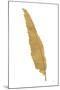 Pure Gold Feather VI-Chris Paschke-Mounted Art Print