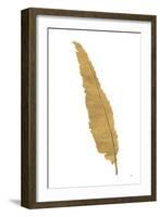 Pure Gold Feather VI-Chris Paschke-Framed Art Print