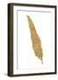 Pure Gold Feather VI-Chris Paschke-Framed Art Print