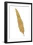 Pure Gold Feather VI-Chris Paschke-Framed Art Print