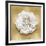 Pure II-Caroline Kelly-Framed Art Print