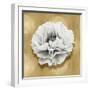 Pure III-Caroline Kelly-Framed Art Print