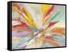 Pure Joy-Gabriela Villarreal-Framed Stretched Canvas