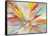 Pure Joy-Gabriela Villarreal-Framed Stretched Canvas