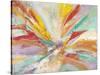 Pure Joy-Gabriela Villarreal-Stretched Canvas