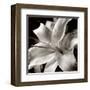 Pure Lily-null-Framed Art Print