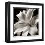 Pure Lily-null-Framed Art Print