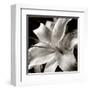 Pure Lily-null-Framed Art Print