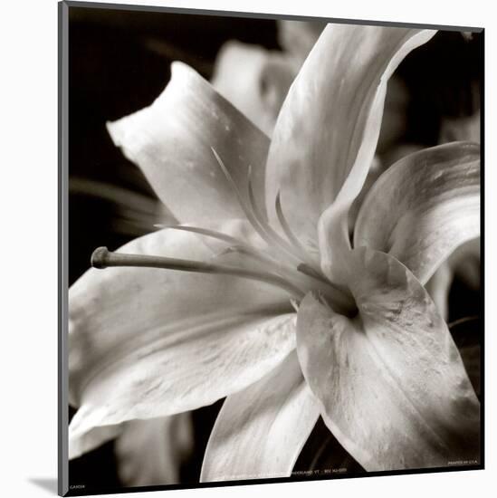 Pure Lily-null-Mounted Art Print