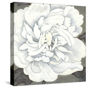 Pure Peony I-Kate Mawdsley-Stretched Canvas