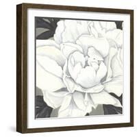 Pure Peony II-Kate Mawdsley-Framed Giclee Print