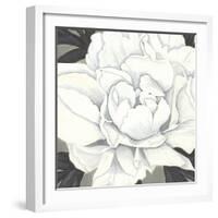 Pure Peony II-Kate Mawdsley-Framed Giclee Print