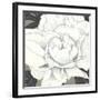 Pure Peony II-Kate Mawdsley-Framed Giclee Print