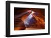 Pure Photodelight 2-Roman Golubenko-Framed Photographic Print