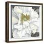 Pure Poppy I-Kate Mawdsley-Framed Giclee Print