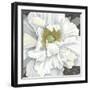 Pure Poppy I-Kate Mawdsley-Framed Giclee Print