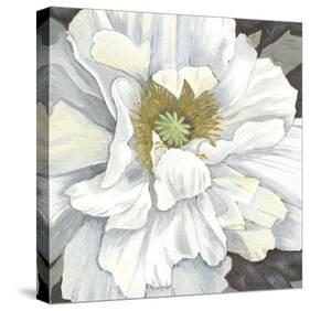 Pure Poppy I-Kate Mawdsley-Stretched Canvas