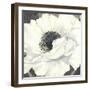 Pure Poppy II-Kate Mawdsley-Framed Giclee Print