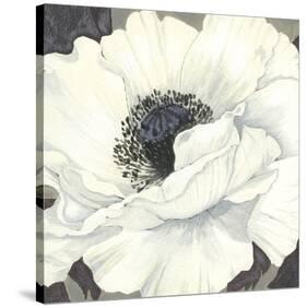 Pure Poppy II-Kate Mawdsley-Stretched Canvas