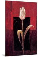 Pure Red-Karsten Kirchner-Mounted Premium Giclee Print