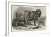 Pure Saxon Merino Rams, Exhibited at Breslau-Samuel John Carter-Framed Giclee Print