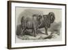 Pure Saxon Merino Rams, Exhibited at Breslau-Samuel John Carter-Framed Giclee Print