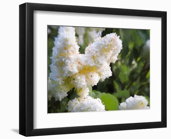 Pure White Lilac, 2018-Helen White-Framed Premium Giclee Print
