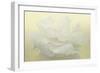 Pure White Peony-Cora Niele-Framed Photographic Print