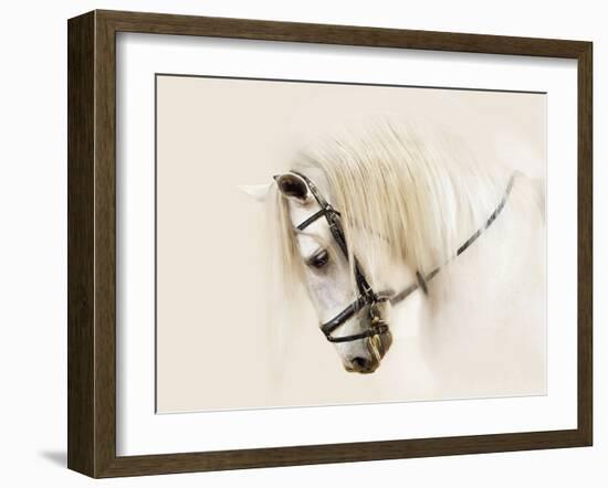 Purebred II-Ozana Sturgeon-Framed Photographic Print