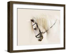 Purebred II-Ozana Sturgeon-Framed Photographic Print