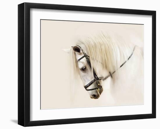 Purebred II-Ozana Sturgeon-Framed Photographic Print