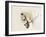 Purebred II-Ozana Sturgeon-Framed Photographic Print