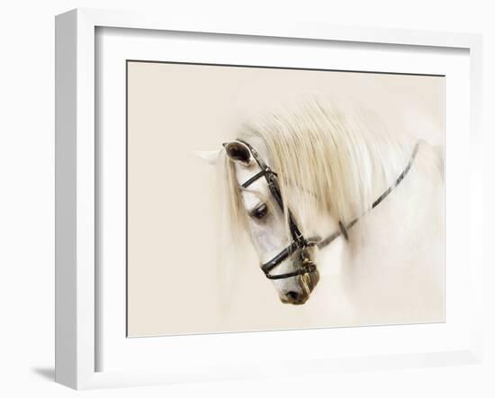 Purebred II-Ozana Sturgeon-Framed Photographic Print