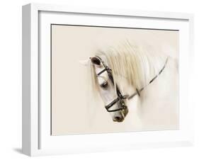 Purebred II-Ozana Sturgeon-Framed Photographic Print