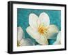 Purely Elegant I-Walt Johnson-Framed Art Print