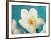 Purely Elegant I-Walt Johnson-Framed Art Print