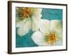 Purely Elegant II-Walt Johnson-Framed Art Print